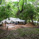 Excavation trenches within the trees at Angkor Wat.